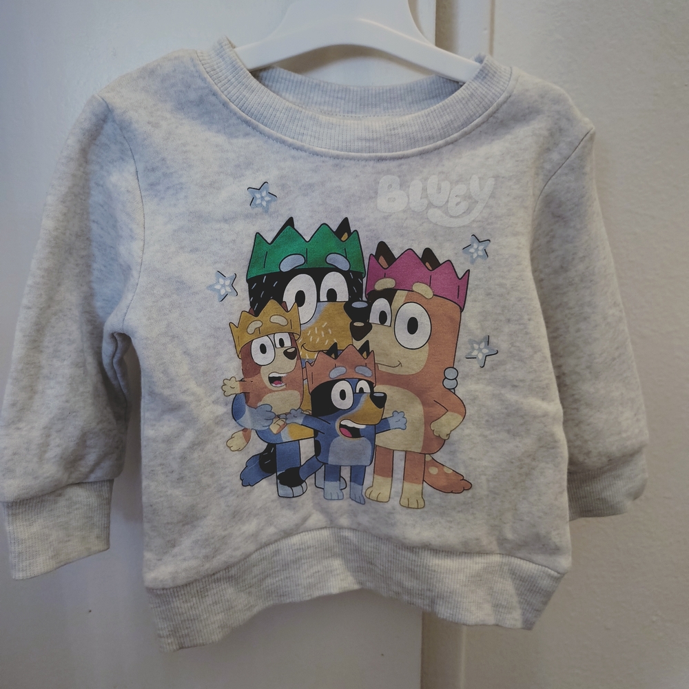 Bluey Grey Crewneck Sweatshirt for Kids